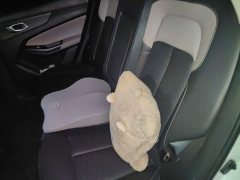 Changan CS55PLUS Edition 1.5T DCTPremium Version - фото 15