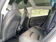 Tesla Model 3 Standard Range Edition 3D1 - фото 10