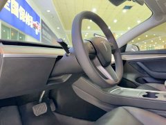 Tesla Model 3 Standard Range Edition 3D1 - фото 12
