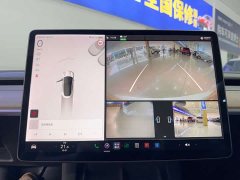 Tesla Model 3 Standard Range Edition 3D1 - фото 18