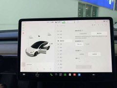 Tesla Model 3 Standard Range Edition 3D1 - фото 20