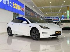 Tesla Model 3 Standard Range Edition 3D1 - фото 3