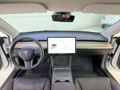 Tesla Model 3 Standard Range Edition 3D1 - фото 7