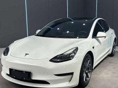 Tesla Model 3 Standard Range Edition 3D1 - фото 1