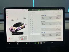 Tesla Model 3 Standard Range Edition 3D1 - фото 12