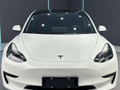 Tesla Model 3 Standard Range Edition 3D1 - фото 2