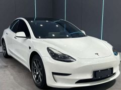 Tesla Model 3 Standard Range Edition 3D1 - фото 3