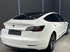 Tesla Model 3 Standard Range Edition 3D1 - фото 6