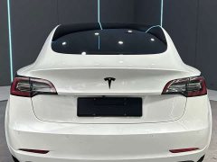Tesla Model 3 Standard Range Edition 3D1 - фото 7