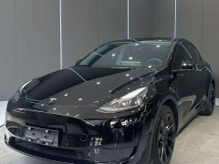 Tesla Model Y Edition - фото 1