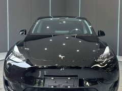 Tesla Model Y Edition - фото 2