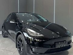 Tesla Model Y Edition - фото 3