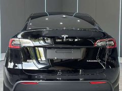 Tesla Model Y Edition - фото 7