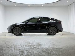 Tesla Model Y Edition - фото 7