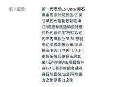 Li Auto L6 Ultra - фото 9