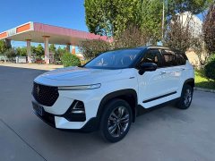 Baojun RS-5 300T CVT Premium Version - фото 1
