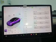 Tesla Model 3 rear-wheel drive version - фото 13