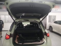 smart#1 Premium Edition - фото 19