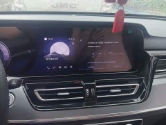 Hongqi HS5 2.0T Pro Edition - фото 13