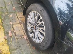 Hongqi H5 1.5T DCT Edition - фото 6