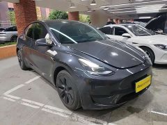 Tesla Model Y rear-wheel drive version - фото 6