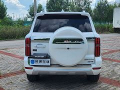 Tank 500 Hi4-T - фото 15