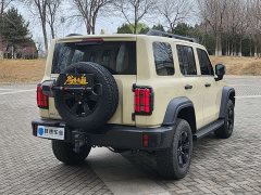 Tank 300 2.4T Edition - фото 14