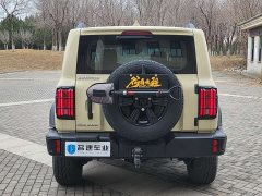 Tank 300 2.4T Edition - фото 15