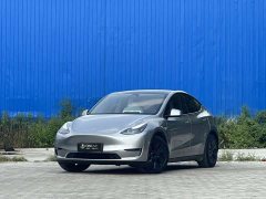 Tesla Model Y Long Range Edition - фото 1