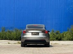 Tesla Model Y Long Range Edition - фото 6