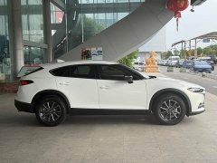 Miniev CX-4 2.0L 2WD Edition - фото 3