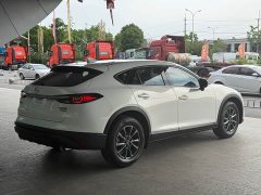 Miniev CX-4 2.0L 2WD Edition - фото 6