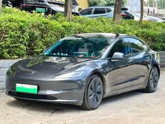 Tesla Model 3 Edition - фото 1