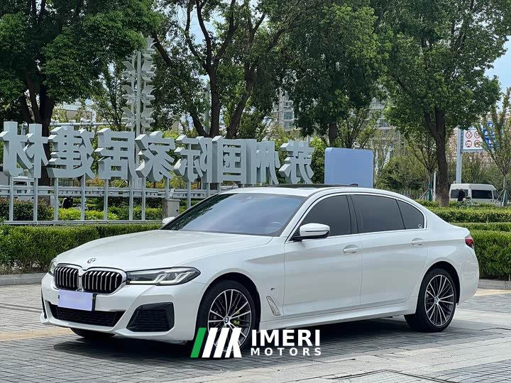 BMW 5 530Li Version M - автомобиль из Китая