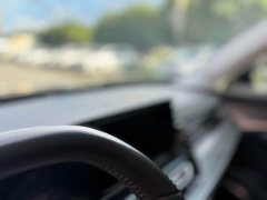 Hongqi HS5 2.0T AWDPro Edition - фото 18