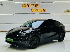 Tesla Model Y Edition - фото 1