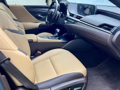 Lexus ES 2020 200 Excellence Edition - фото 14