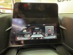 Haval Big Dog 1.5T DCT Border Collie Edition - фото 12
