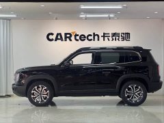 Haval Big Dog 1.5T DCT Border Collie Edition - фото 7