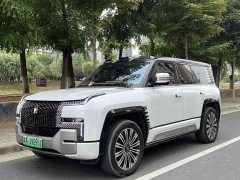 Yangwang U8 Luxury Edition - фото 1