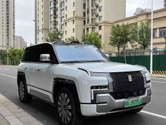 Yangwang U8 Luxury Edition - фото 2