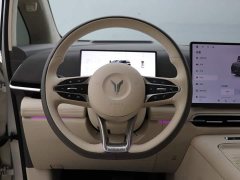 Voyah PHEV AWDFlagship Edition - фото 16