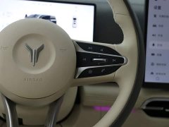 Voyah PHEV AWDFlagship Edition - фото 18