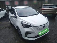 BYD E-Star Edition - фото 4