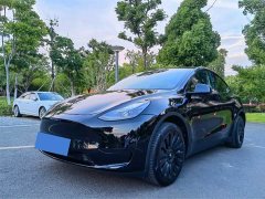 Tesla Model Y rear-wheel drive version - фото 1