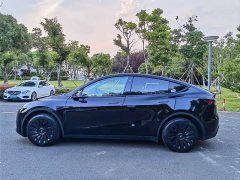 Tesla Model Y rear-wheel drive version - фото 13