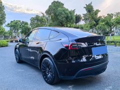 Tesla Model Y rear-wheel drive version - фото 14