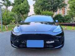 Tesla Model Y rear-wheel drive version - фото 2