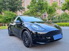 Tesla Model Y rear-wheel drive version - фото 3