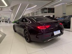 Mercedes-Benz CLS 300 Luxury - фото 15